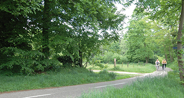 Fietspad in de Achterhoek