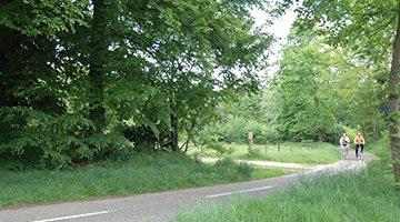 Fietspad in de Achterhoek